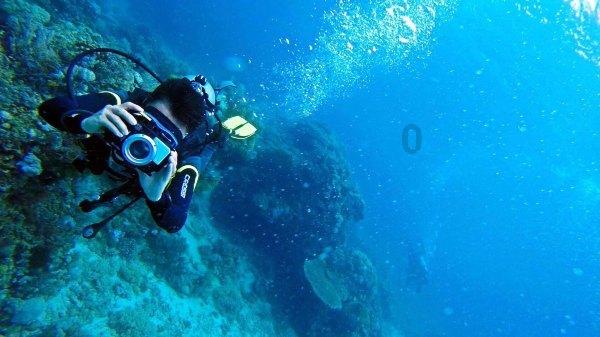 了解怎样去除铁锅锅底油垢?的知识星球,深入探索你感兴趣的话题