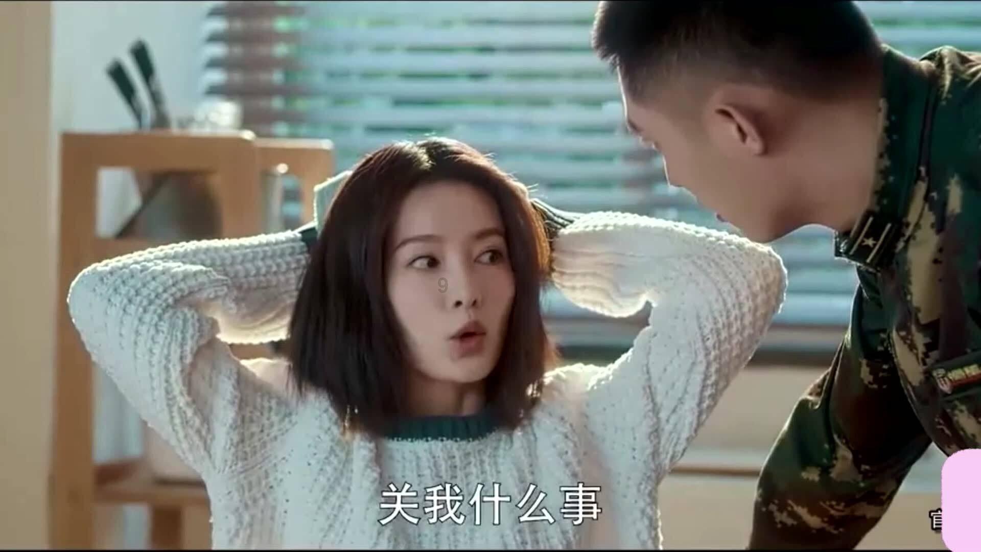 创作猫