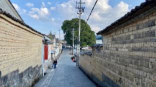 动物帮帮忙保卫家园